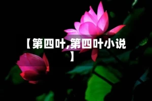 【第四叶,第四叶小说】