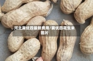 河北冀优四最新费用/冀优四花生米图片