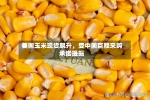 美国玉米现货飙升，受中国巨额采购承诺提振