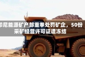 印尼能源矿产部重拳处罚矿企，50份采矿经营许可证遭冻结