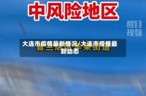 大连市疫情最新情况/大连市疫情最新动态