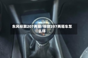 东风标致207两箱/标致207两箱车怎么样
