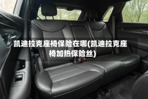 凯迪拉克座椅保险在哪(凯迪拉克座椅加热保险丝)