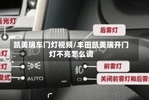 凯美瑞车门灯视频/丰田凯美瑞开门灯不亮怎么调