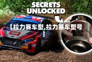 【拉力赛车型,拉力赛车型号】