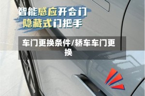 车门更换条件/轿车车门更换