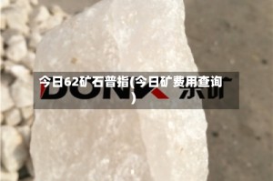 今日62矿石普指(今日矿费用查询)