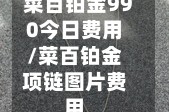 菜百铂金990今日费用/菜百铂金项链图片费用