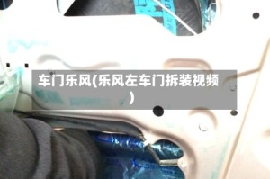 车门乐风(乐风左车门拆装视频)