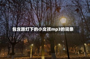 包含路灯下的小女孩mp3的词条