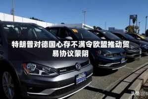特朗普对德国心存不满令欧盟推动贸易协议蒙阴
