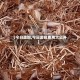【今日废铜,今日废铜费用大公开】