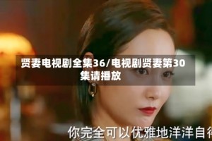 贤妻电视剧全集36/电视剧贤妻第30集请播放