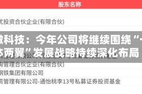 宏微科技：今年公司将继续围绕“一体两翼”发展战略持续深化布局