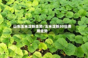 山东玉米淀粉走势/玉米淀粉30日费用走势