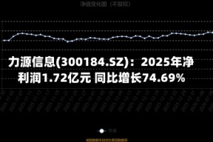 力源信息(300184.SZ)：2025年净利润1.72亿元 同比增长74.69%