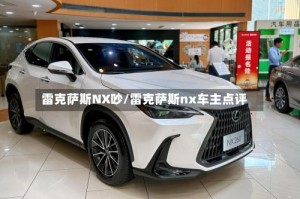 雷克萨斯NX吵/雷克萨斯nx车主点评