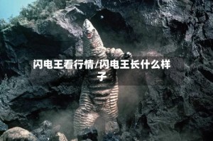 闪电王看行情/闪电王长什么样子