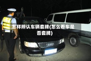 怎样辨认车辆套牌(怎么看车是否套牌)