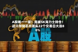 A股唯一一家！竟被SK海力士持仓！这只存储芯片龙头22个交易日大涨80%