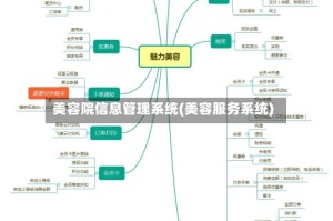 美容院信息管理系统(美容服务系统)