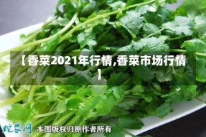 【香菜2021年行情,香菜市场行情】
