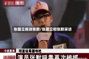 张国立拒谈张默/张国立和张默采访
