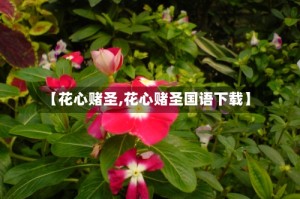 【花心赌圣,花心赌圣国语下载】