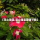 【花心赌圣,花心赌圣国语下载】