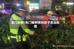 车门长树/车门被树枝划印子怎么处理