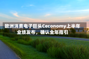 欧洲消费电子巨头Ceconomy上半年业绩发布，确认全年指引