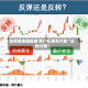涨势越走越极端 散户扎堆芯片股“过热行情”
