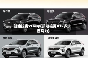 凯迪拉克xtsesp(凯迪拉克XTS多少匹马力)