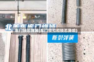 车门锁芯弹簧(车门锁扣和锁芯异响)