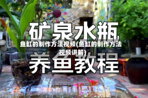 鱼缸的制作方法视频(鱼缸的制作方法视频讲解)