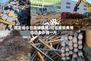 河北省今日废铜费用/河北废铜费用今日多少钱一斤