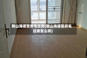 鞍山海诺首府毛坯房(鞍山海诺首府毛坯房怎么样)