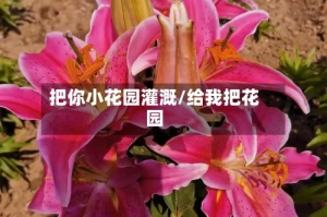 把你小花园灌溉/给我把花园