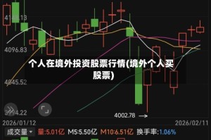 个人在境外投资股票行情(境外个人买股票)