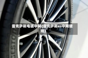 雷克萨斯电镀中网(雷克萨斯es中网镀铬)