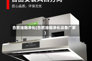 合肥油烟净化(合肥油烟净化设备厂家)