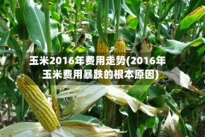 玉米2016年费用走势(2016年玉米费用暴跌的根本原因)