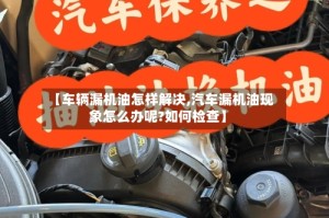 【车辆漏机油怎样解决,汽车漏机油现象怎么办呢?如何检查】