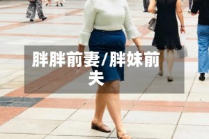 胖胖前妻/胖妹前夫