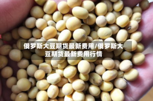 俄罗斯大豆期货最新费用/俄罗斯大豆期货最新费用行情