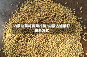 内蒙油菜籽费用行情/内蒙古油菜籽联系方式