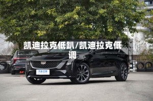 凯迪拉克低趴/凯迪拉克低调