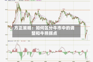 方正策略：如何区分牛市中的调整和牛熊拐点