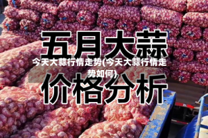 今天大蒜行情走势(今天大蒜行情走势如何)