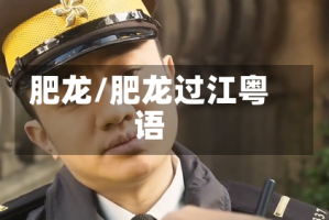 肥龙/肥龙过江粤语